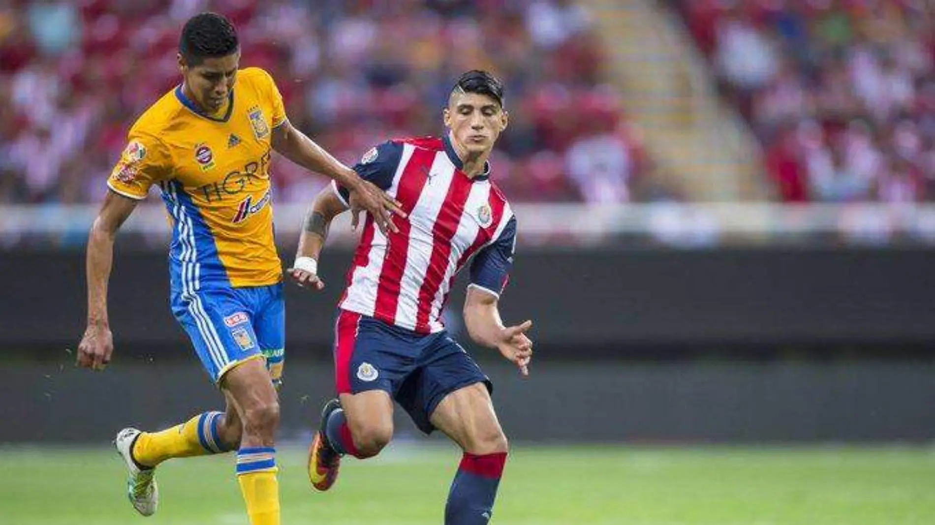 Chivas vs Tigres 2017